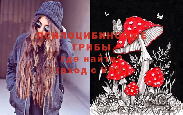 эйфоретик Балахна