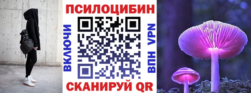 где купить наркоту Боготол Псилоцибиновые грибы GOLDEN TEACHER